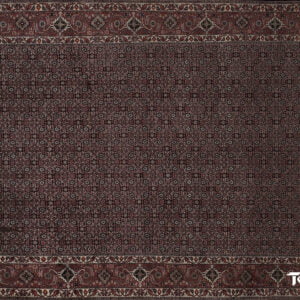 Tapete Bidjar Tekap <br> Medida: 338 x 248 = 838